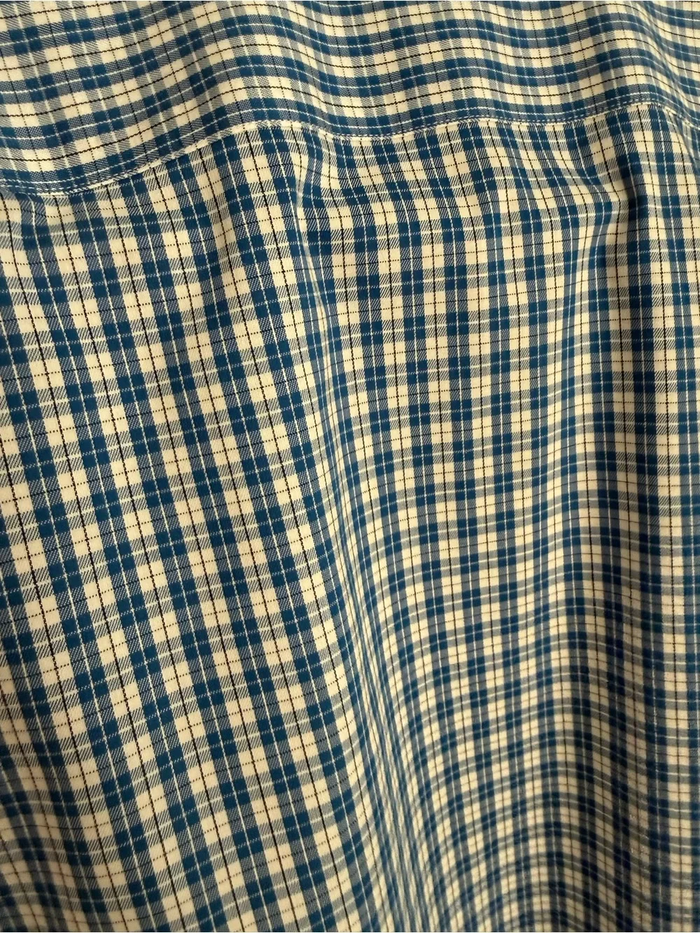 Banana Republic Blue and White Check Button-Down Shirt